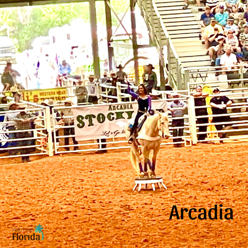 Arcadia