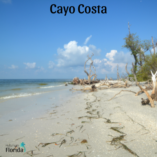 Cayo Costa