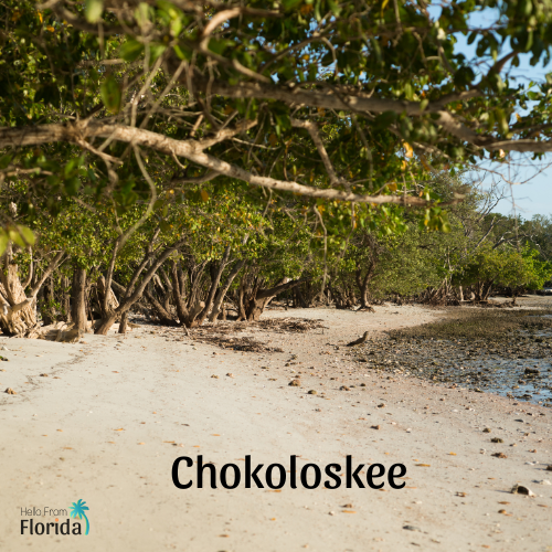 Chokoloskee