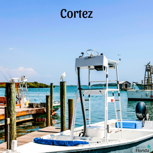 Cortez