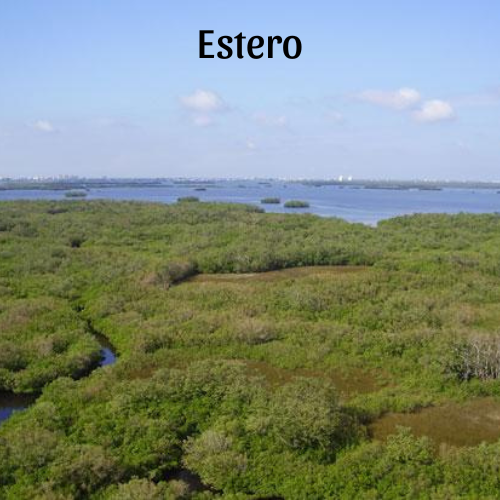 Estero