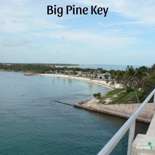 Big Pine Key