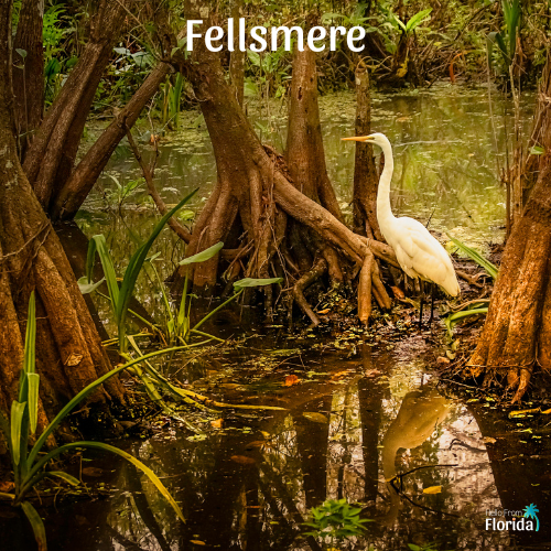 Fellsmere Fellsmere, Florida