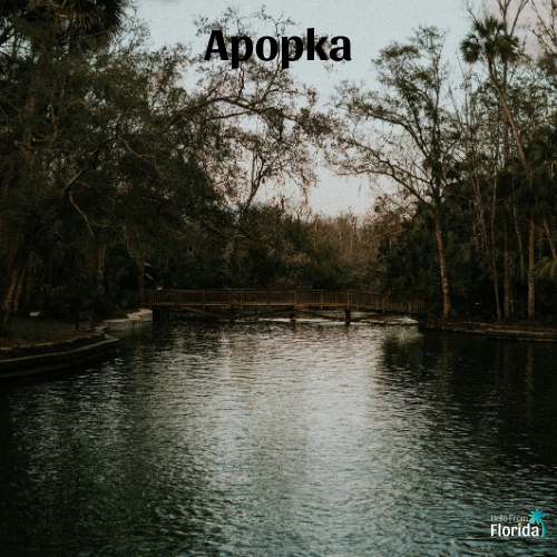 Wekiwa Springs State Park, Apopka, Florida<br />
Photo by  Cody Board </p>
<p>