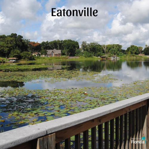 Audubon Center for Birds of Prey, Eatonville, Florida