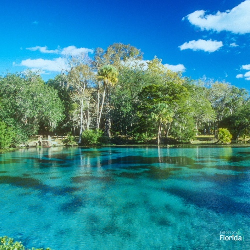 Silver Glen Springs in the Ocala National Forest<br />
